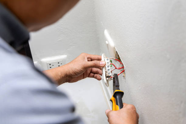 Best Electric Panel Repair  in Lazy Mountain, AK